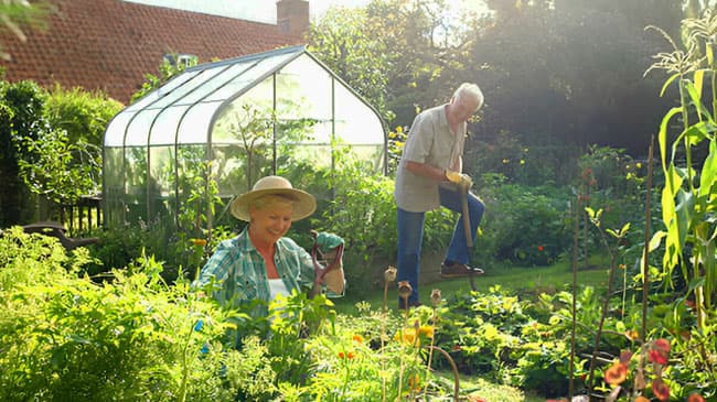 Pareja de ancianos arreglando jardín frente a un invernadero casero